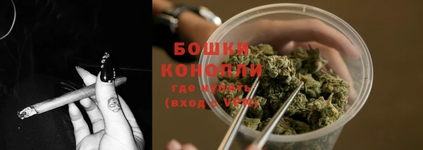 экстази Богданович