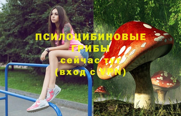 экстази Богданович